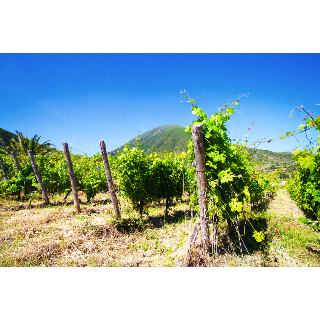 Salina, Sizilien: Weinberg, grüner Vulkan, tiefblauer Himmel von JannHuizenga - No Frame Print on Canvas