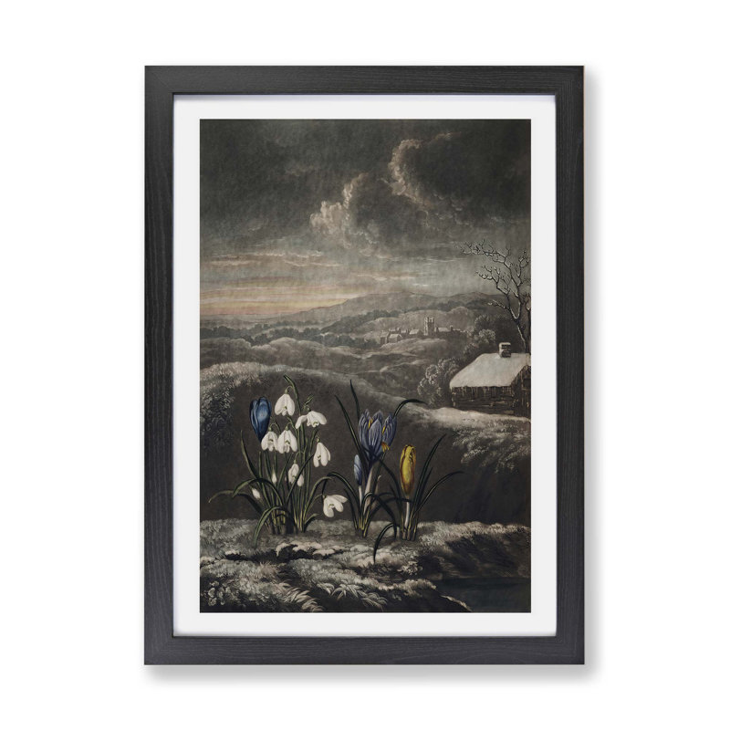 The Snowdrop Flowers - Framed Print, Black, 45cm H x 63cm W x 2cm D