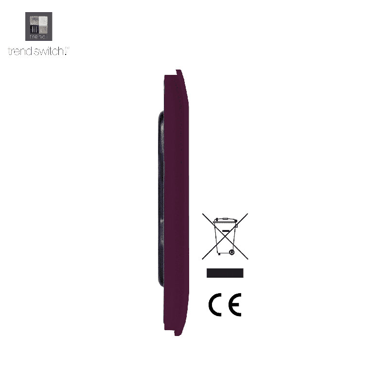 Trendi Switch Double Blanking Plate, Plum