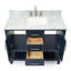 Bayhill 43'' W Single Vanity-947295748
