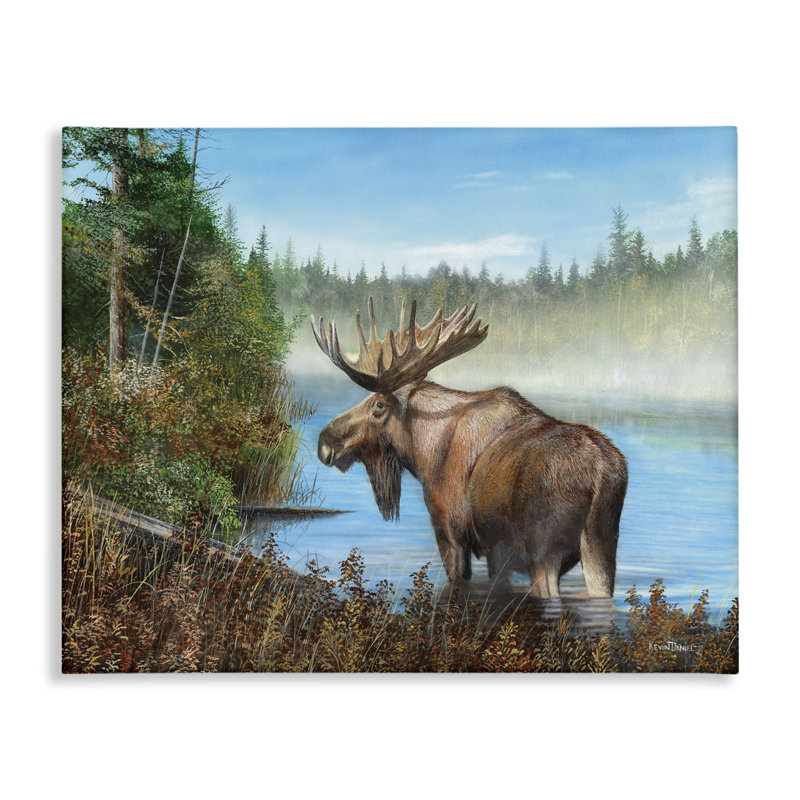 «Rustic Moose Wading in Shore», art mural sur toile par Kevin Daniel, H 30 po x l 40 po