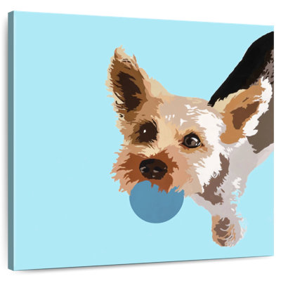 Brampt Rex On Light Blue