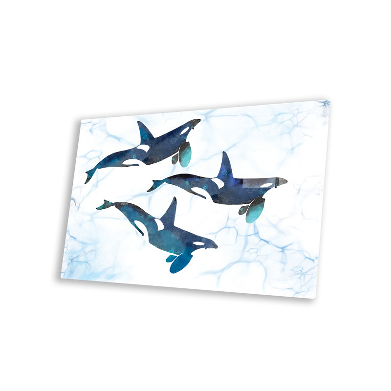 «Killer Whales In Motion On» par Thomas Little Print