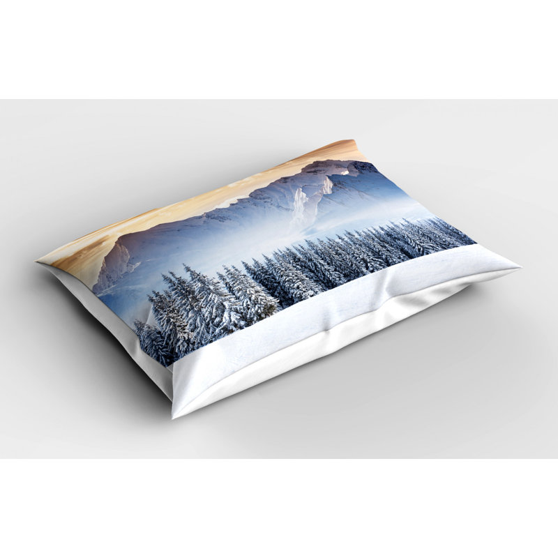 Brown/Gray Polyester Microfiber Piece Sham, Twin
