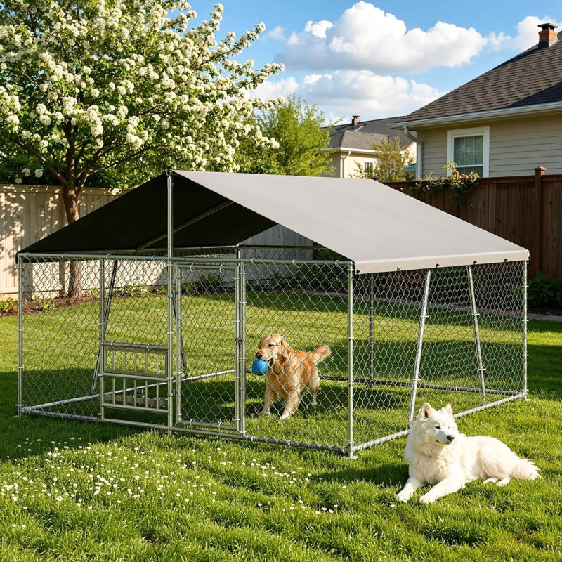 Dog House, 180cm H x 305cm W x 305cm D