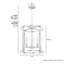 Lustre de style lanterne à 4 lumières Astwood-71471538-76112920