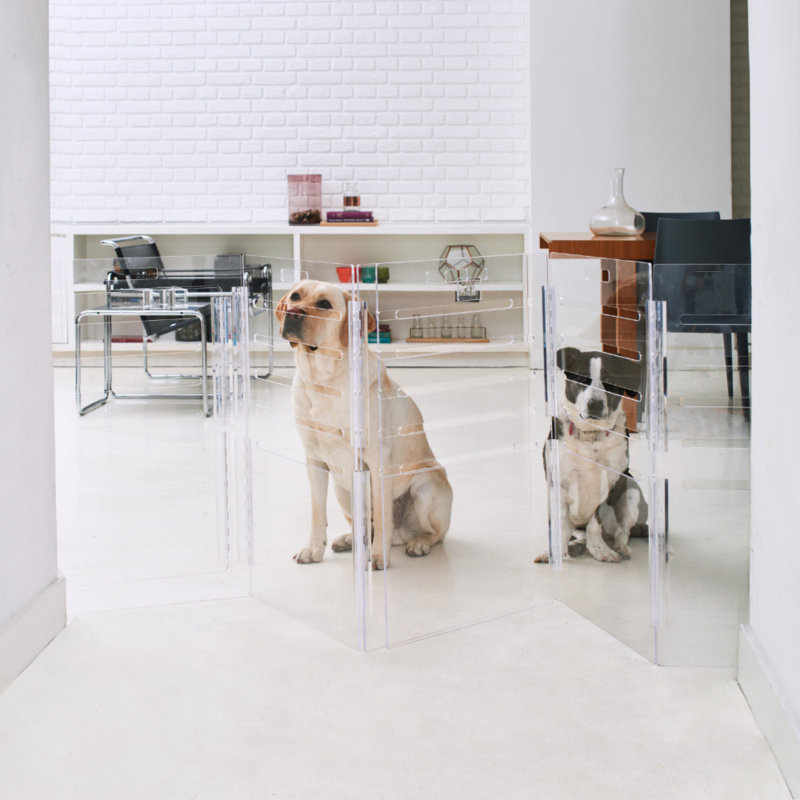 Medium Clear View Pet Crate with Gold Latch, Blush