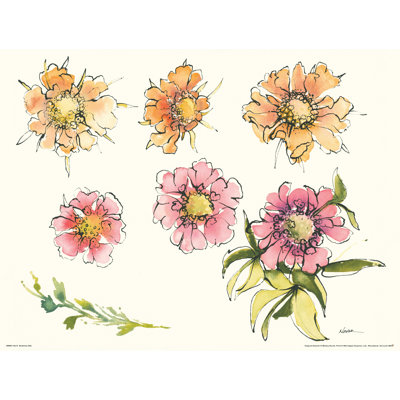 " Scabiosa Bits " by Shirley Novak