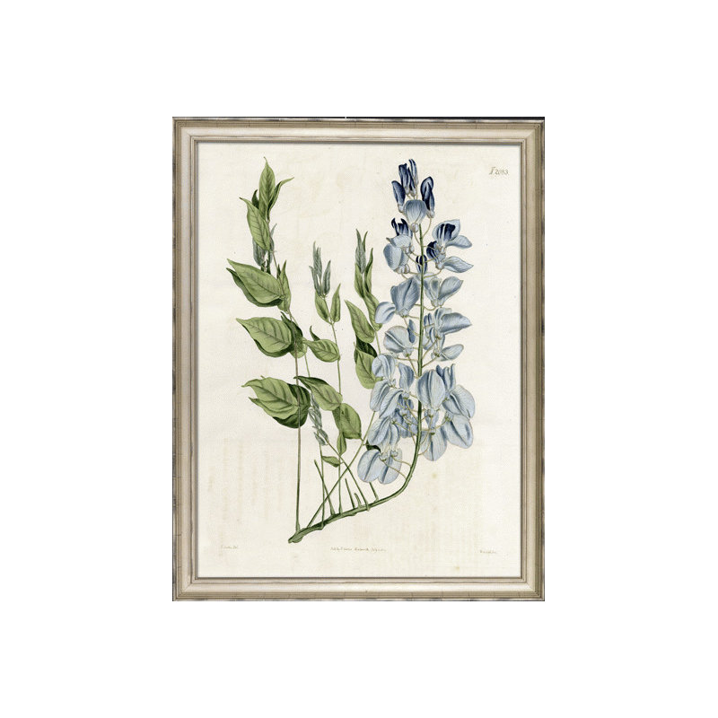 Large Blue Botanical II Print