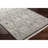Isal Diamond Charcoal and Blue Area Rug-7243792