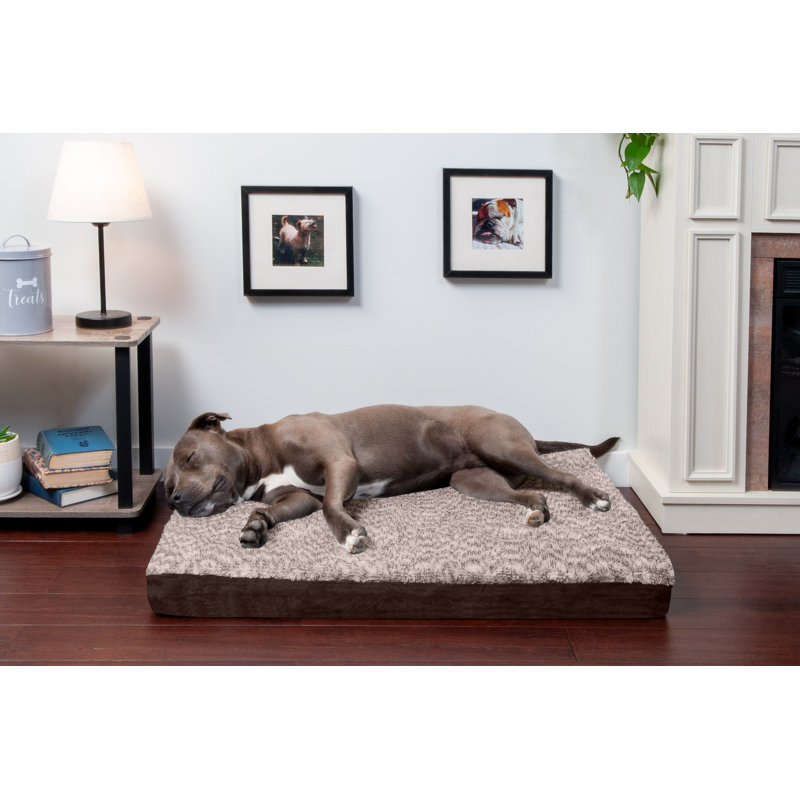 Large Espresso Orthopedic Foam Outdoor Dog Bed