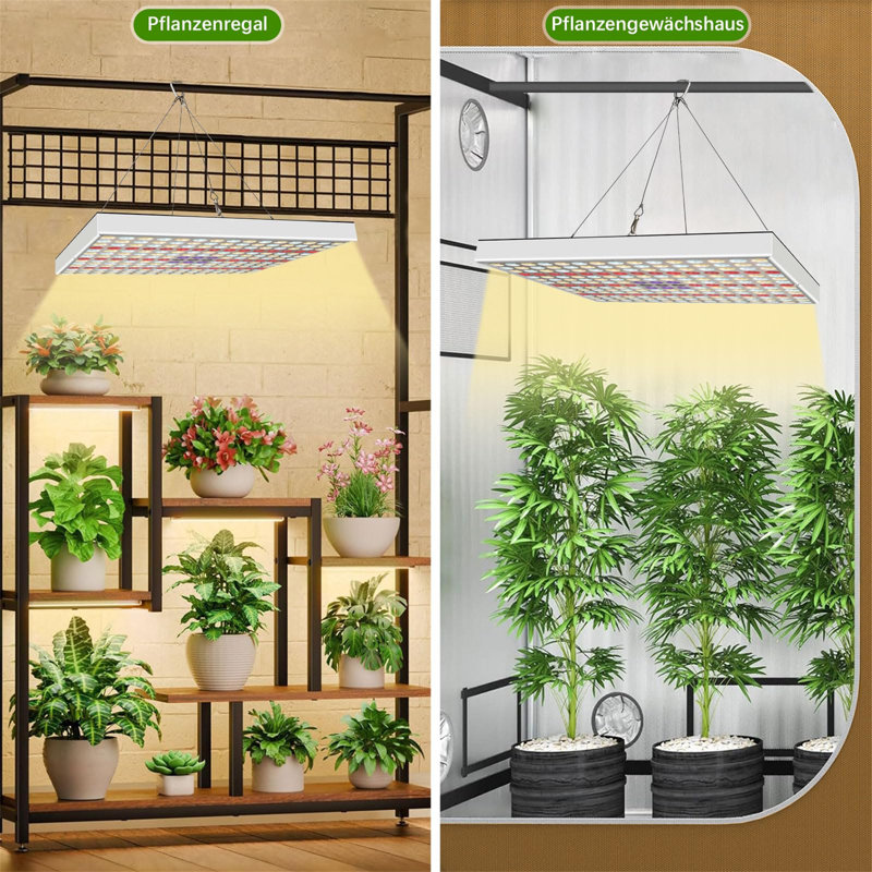 Brayden Studio Grow Light