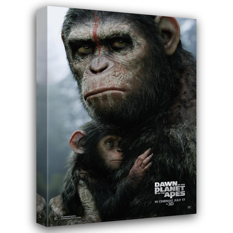 Aube de la planète des singes, H 40 po x l 27 po