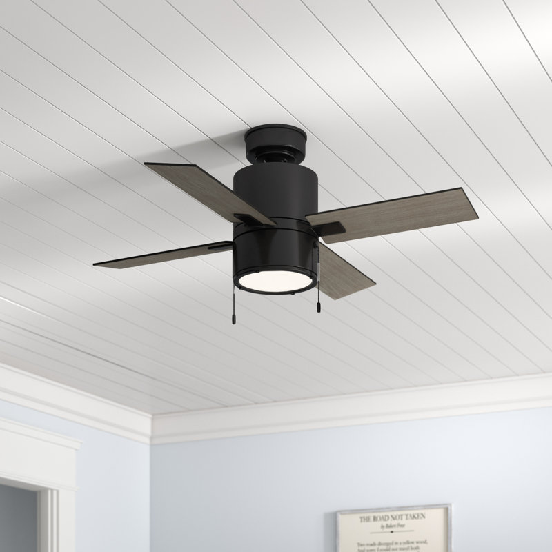 42" Beck 4 - Blade Standard Ceiling Fan with Pull Chain and Light Kit Included, Matte Black