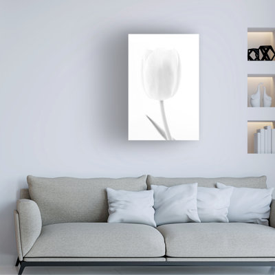 Art sur toile «Bolini Martin Kucera» AFIAP