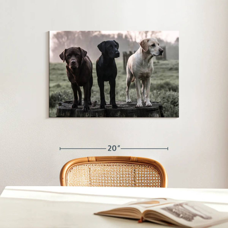 Brampt Labrador Dogs, 16" H x 24" W