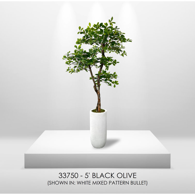 Artificial bonsai tree -  Italia