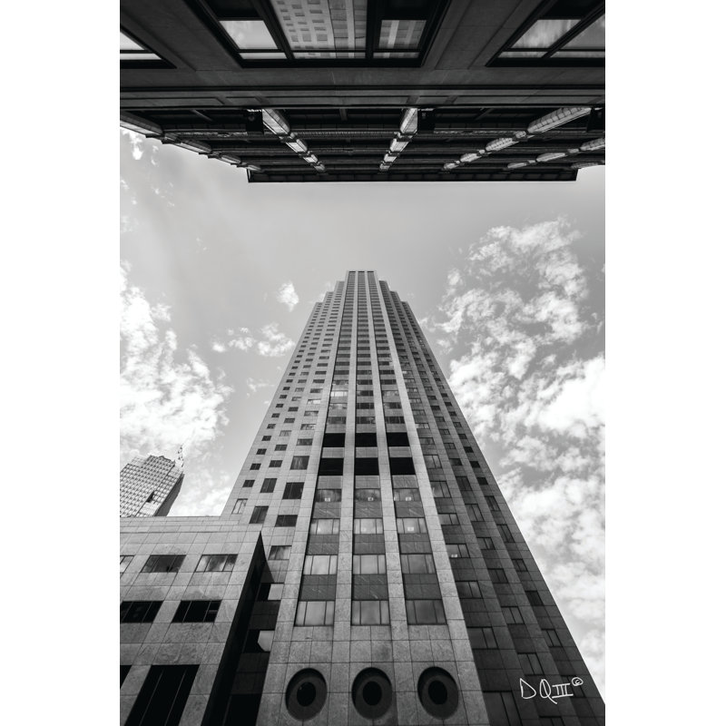 Looking up by Donnie Quillen - Print, Maple Single Picture Framed Paper, Yes, 12" H x 8" W