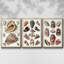 Ensemble de 3 cadres flottants sur toile-1855540832-1855540839
