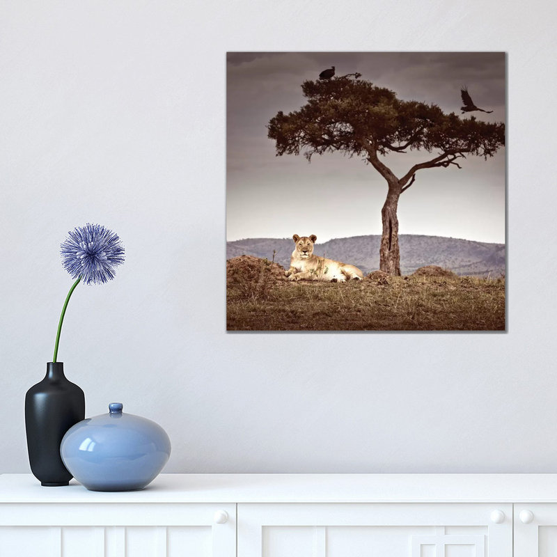 « Observance I » par Klaus Tiedge-reproduction de photo, Pas de tapis, H 18 po x l 18 po x 1,5 po, Toile tendue
