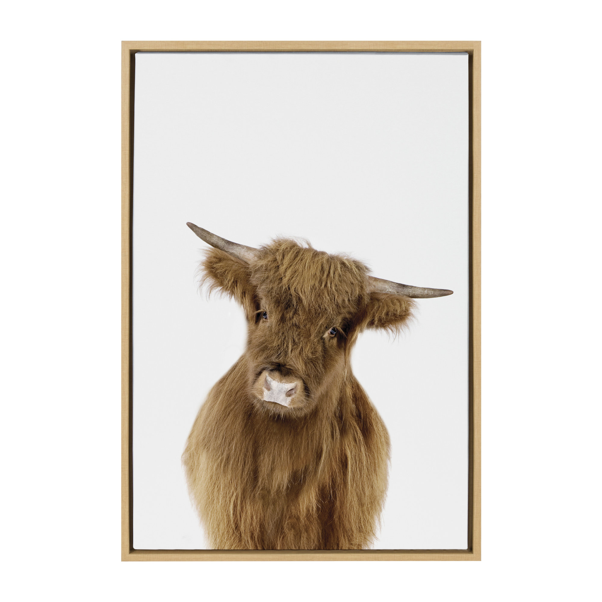Baby Highland Calf Graphic Art on Canvas, Natural Framed, 23" x 33"