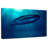 Brampt Blue Whale Underwater-108908537