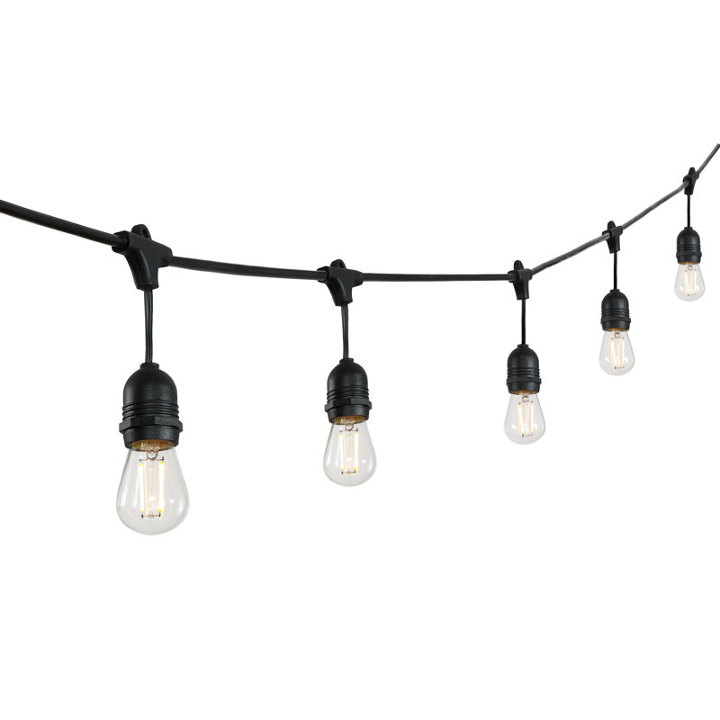 Beant Outdoor 15 - Bulb 48'' Plug-in String Light