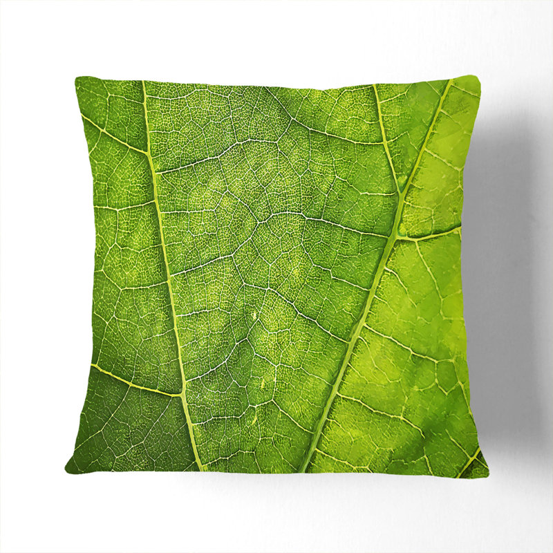 Veins of a Leaf Cushion with Filling, Stone, 40cm H x 40cm W x 15cm D