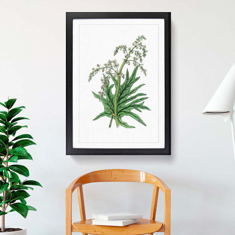 Chinese Rhubarb Illustration - Picture Frame Painting Print, 65cm H x 48cm W x 2cm D, Black Framed