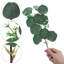 Faux eucalyptus de 7 po