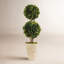Preserved Boxwood Double Ball Topiary in Pot-465220150