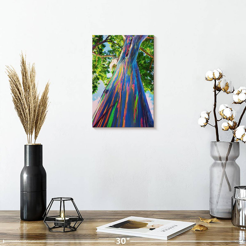Harnek Hawaiian Rainbow Eucalyptus Tree, 12" H x 8" W