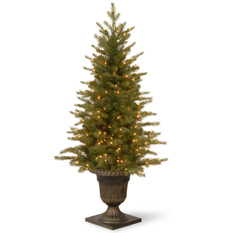 The Holiday Aisle® 4 ft. Nordic Spruce Entrance Tree with Clear Lights