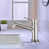 Brushed Nickel selected