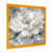 Picture Framed is unavailable