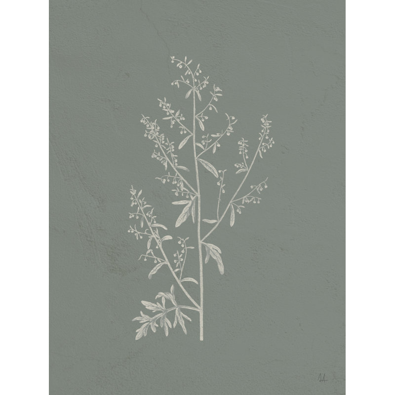 Cadeaux de la sauge II par Sarah Adams - reproduction, Non, Toile tendue, H 16 po x l 12 po x P 1,25 po