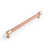 Bronze champagne