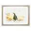 King Penguin in Abstract - Framed Print-55767443-55767444