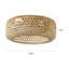 Ventilateur de plafond en cage avec ensemble d'éclairage et télécommande Anlaug 20 po Boho