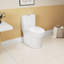 Toilette allongée une pièce 1,1 / 1,6 GPF à hauteur de 16,5 ADA fixée au sol avec siège à fermeture en douceur, CUPC Watersense, céramique, blanc