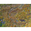 Abstract Aerial Landscape II Print by Frank Peters-65852332-92903057-132435359