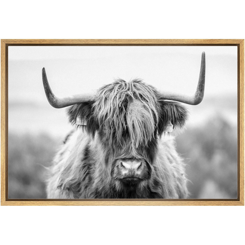 Animaux - Shetland noir et blanc, H 24 po x l 36 po x P 1,5 po, Naturel