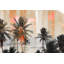 Parvez Taj - Wrapped Canvas Print-12309741