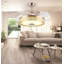 Felecia 42'' Ceiling Fan with LED Lights