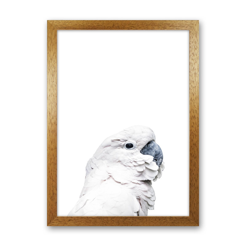 White Cockatoo by Victoria Frost - Print, 46cm H x 34cm W x 3cm D, Oak Framed