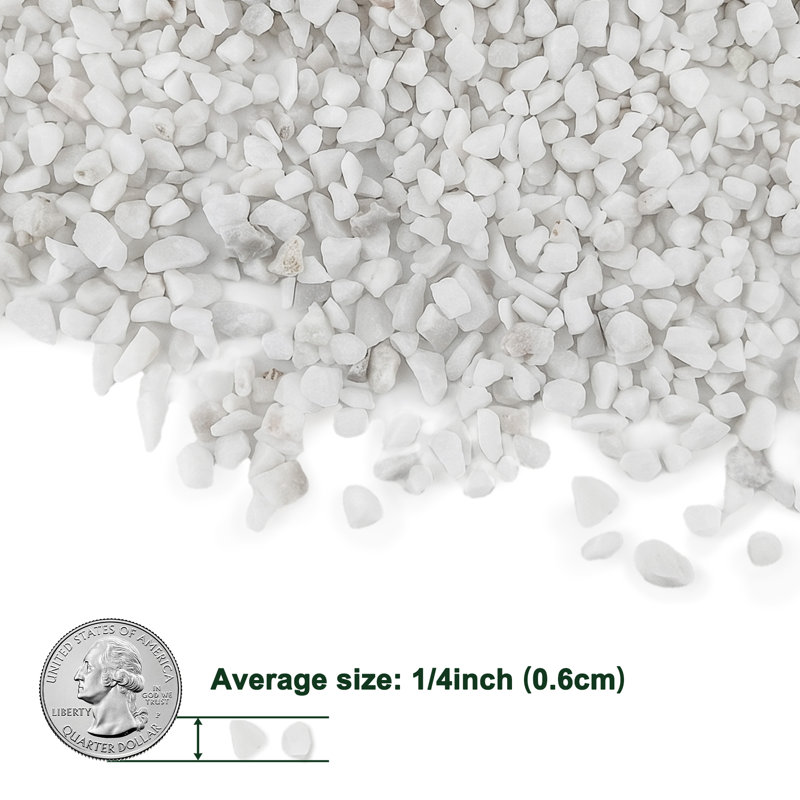 4,5 lb de cactus blancs, pierres de gravier, 9 lb