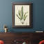 " Curtis Ferns IV " Painting Print-73984497