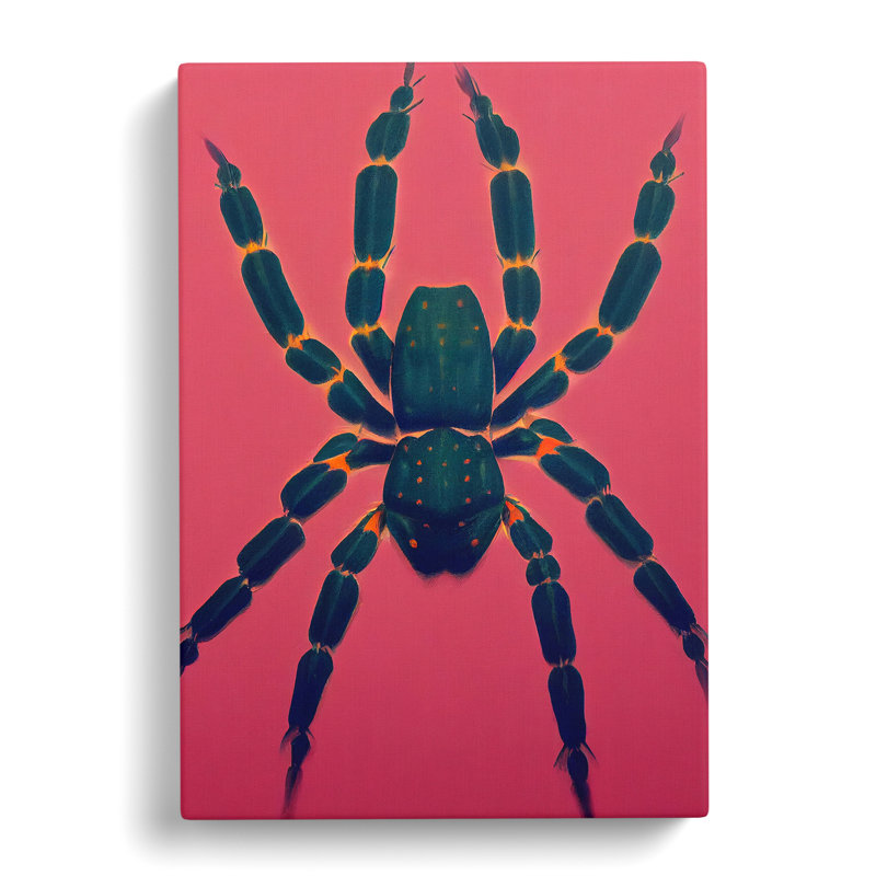 Spider - Wrapped Canvas, 50cm H x 35cm W x 3cm D