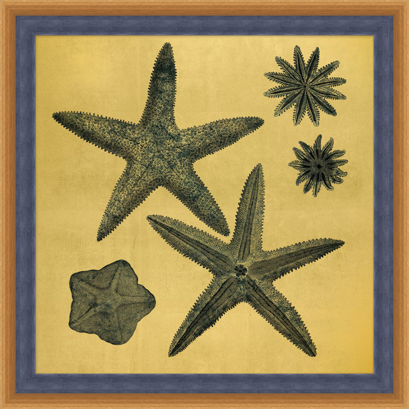 Gold Leaf Starfish 9 Print