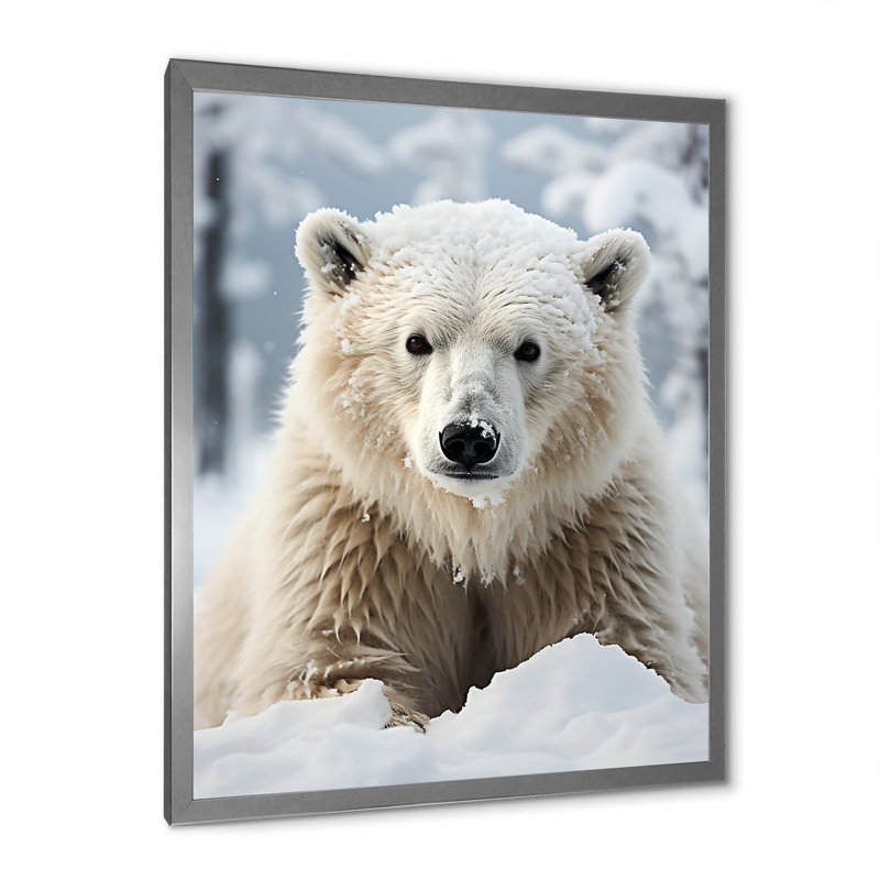 Beckah Alaska, rencontre polaire sur toile, H 32 po x l 16 po x P 1 po, Cadre photo argenté